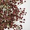 10 Pack Baby’s Breath Artificial Flowers Bulk 23.6 Inch Faux Gypsophila Beige Brown Faux Baby Breath Stems – DIY Wedding Bouquet, Home & Event Floral Arrangement Decor